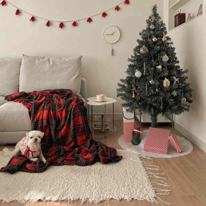 Looking outside in the chilly weather, I see the first snow..!🧶🎅🏻