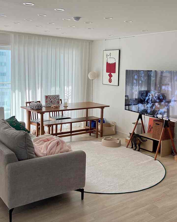Bright white and wood-tone living-dining room with gray sofa, circular rug, and a pet cat, creating a cozy atmosphere