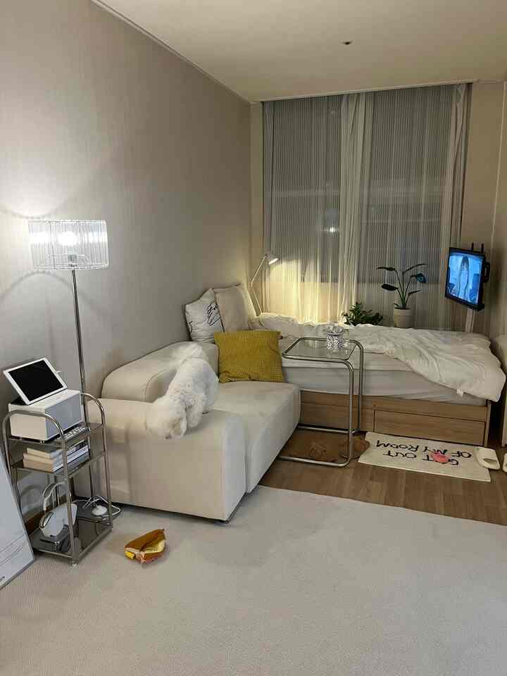 ナチュラルカラーとホワイトトーンの一人暮らし空間、ソファとベッド、ペットの犬がいるコンパクトなリビング兼寝室