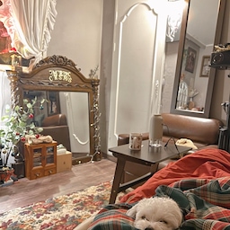 새로생긴 이불이 마음에드는지 바로 자리잡고는 파묻혀 자는 우리 봄이🤎🐾
가볍고 부드러워서 봄이 이불이 되어버린ㅎㅎ