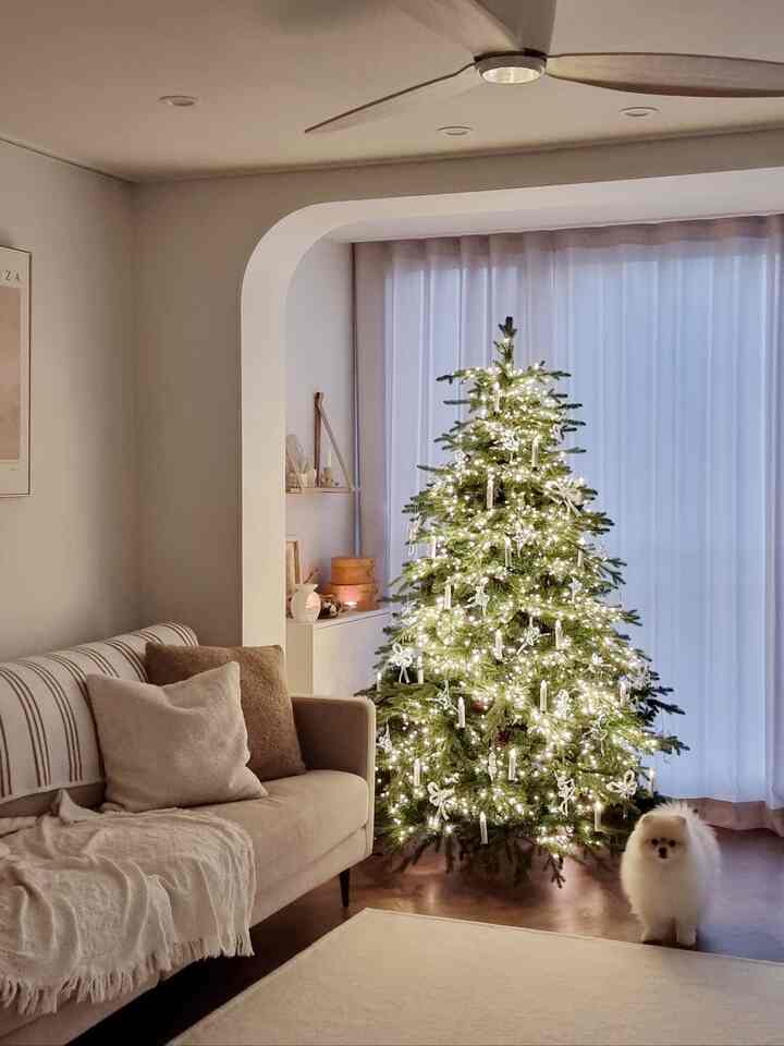 I think it was a good idea to set up the tree early♡
Enjoying Christmas since October 🌲ㅋㅋ

It was a good idea to set it up early❤️

Even the LED light ornaments turned on

It's even more beautiful~~🕯

But Danbi, can you come out? 🤣
Those who want to be in the frame 🐶
Those who want to take a picture without being in it 🙎‍♀️

