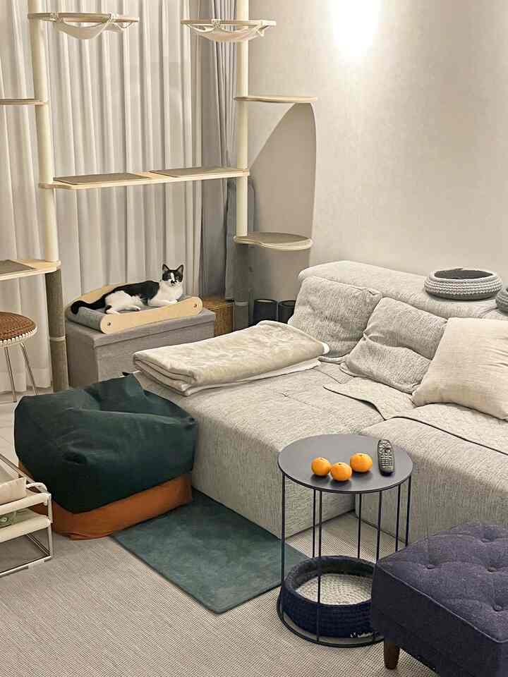 淡いベージュとグレーのトーンのリビング、広いソファとビーンバッグ、キャットタワーと猫が配置された落ち着いた空間