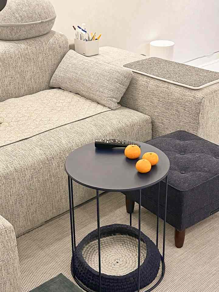 Light beige-toned living room featuring simple sofa, navy armchair, side table, and pet bed with a cozy atmosphere