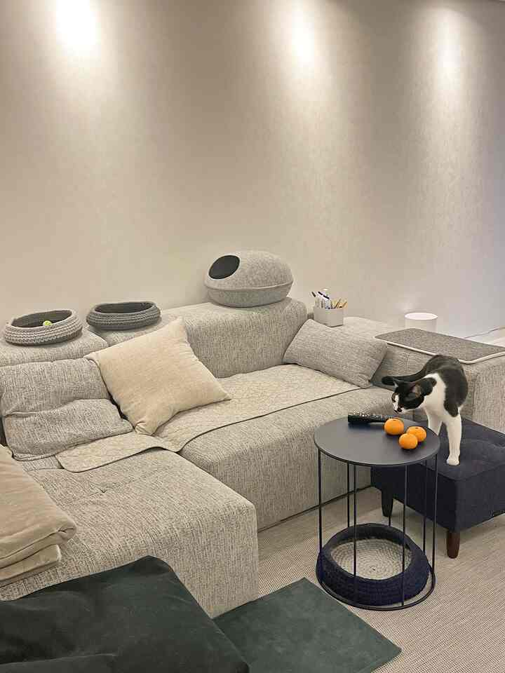 Natural-toned living room featuring a gray sofa and navy side table with a cat, creating a cozy atmosphere