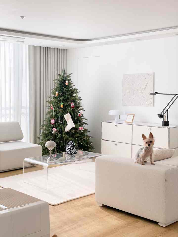 Living room on a sunny day
Now that I've put up a new ornament, it feels like a child's house.