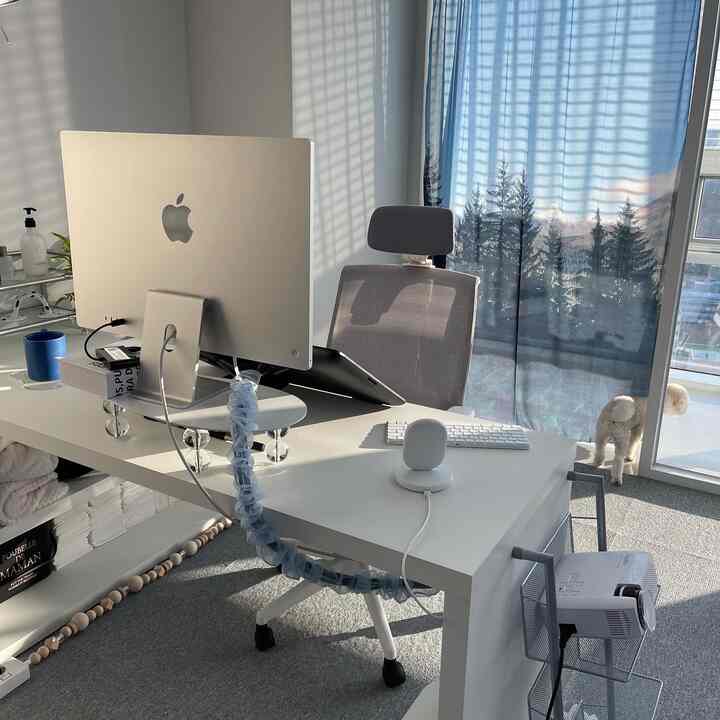 白と青の落ち着いた色調のコンパクトなホームオフィス、机、コンピューター、オフィスチェアとペットの犬が配置された雰囲気のあるインテリア