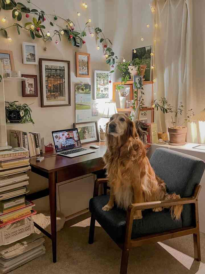 Beige and wood tone home office space featuring a dog sitting on a chair, with a natural and cozy atmosphere