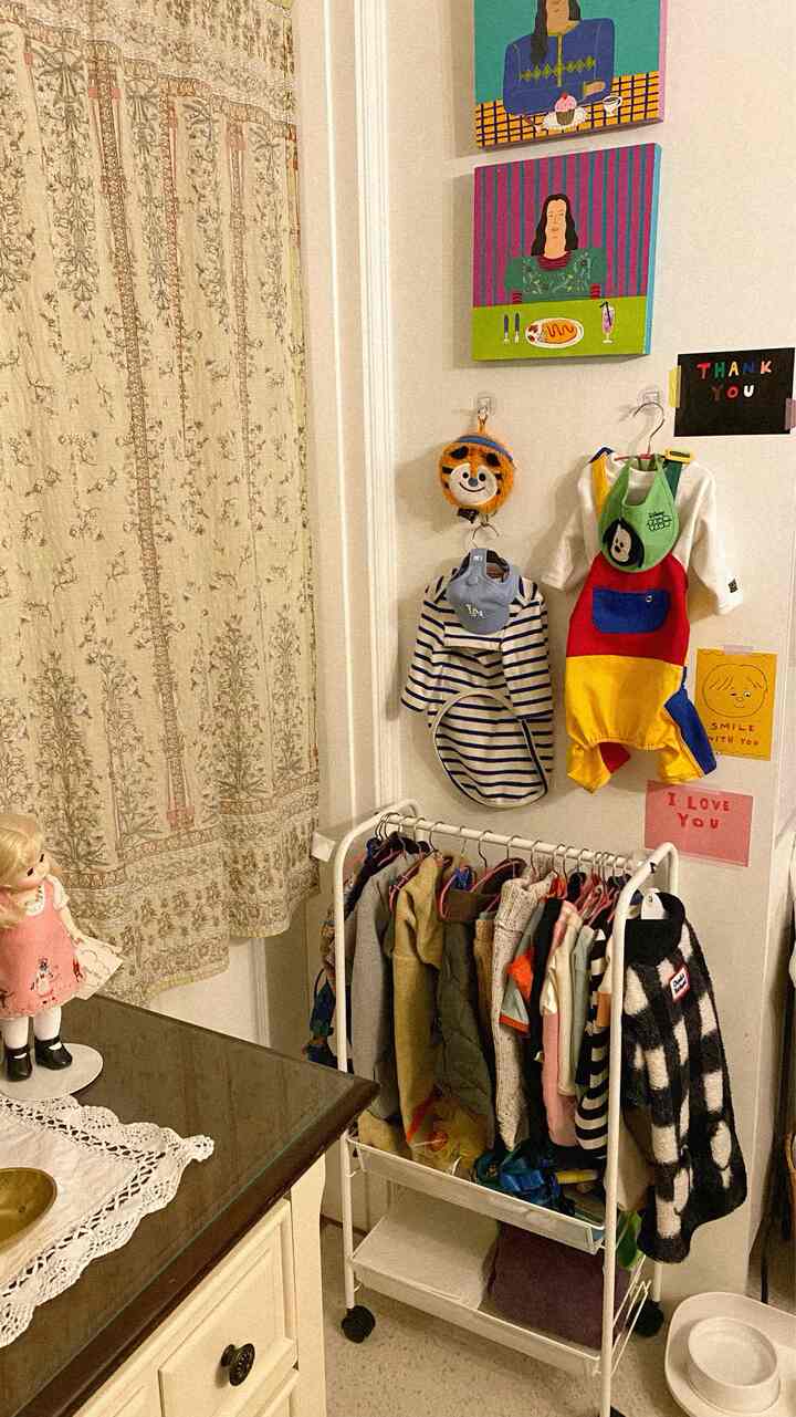 White and beige toned walk-in closet featuring a dog clothes rack and fabric curtain in a cozy atmosphere