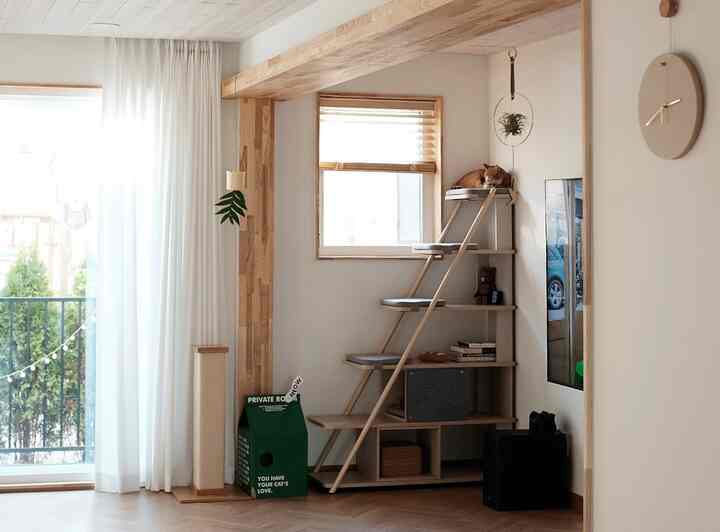 キャットハウス 牛乳パックを使ったコーディネート 3