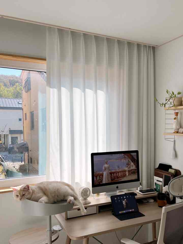 White and wood toned home office space featuring a desk with pet steps where a cat comfortably lounges, creating a cozy workspace atmosphere