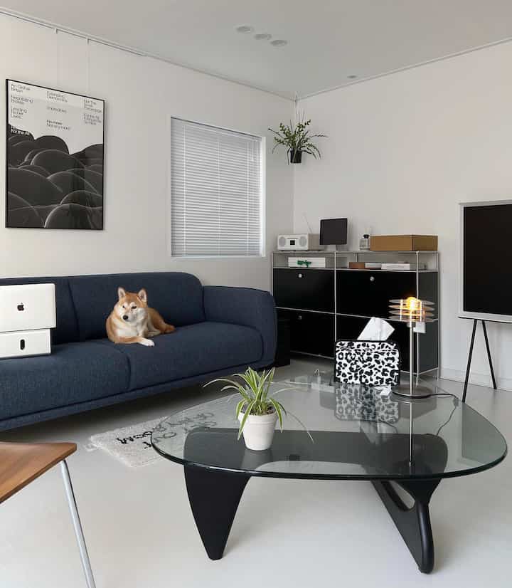 A white and navy toned living room featuring a navy sofa, glass coffee table, and a dog, with a simple modern atmosphere