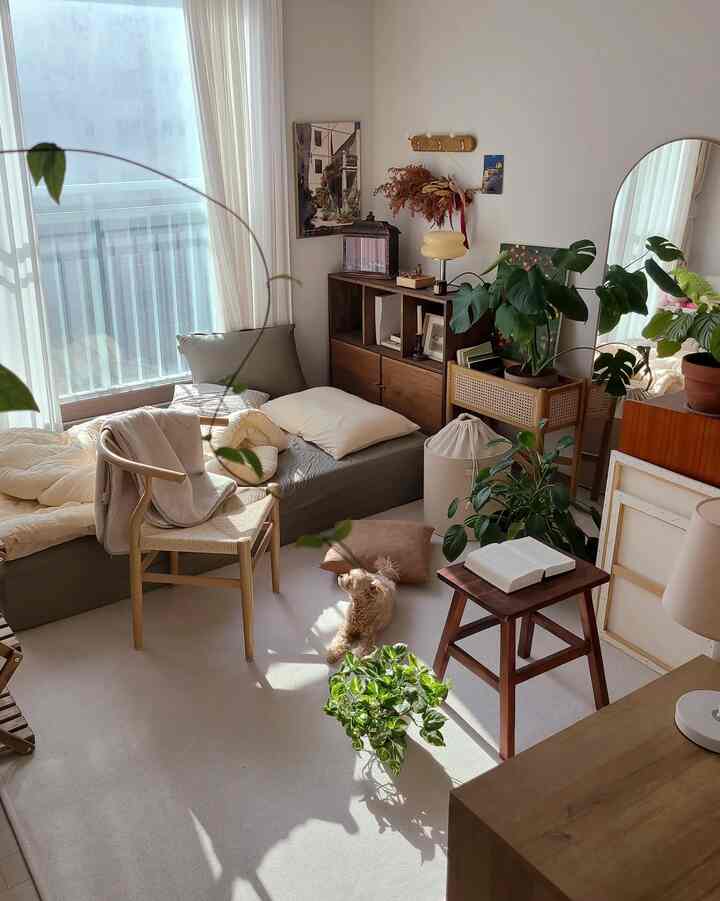 Natural living room for a single household in white and light brown tones, featuring plants, a sofa bed, and a pet dog in a cozy setting