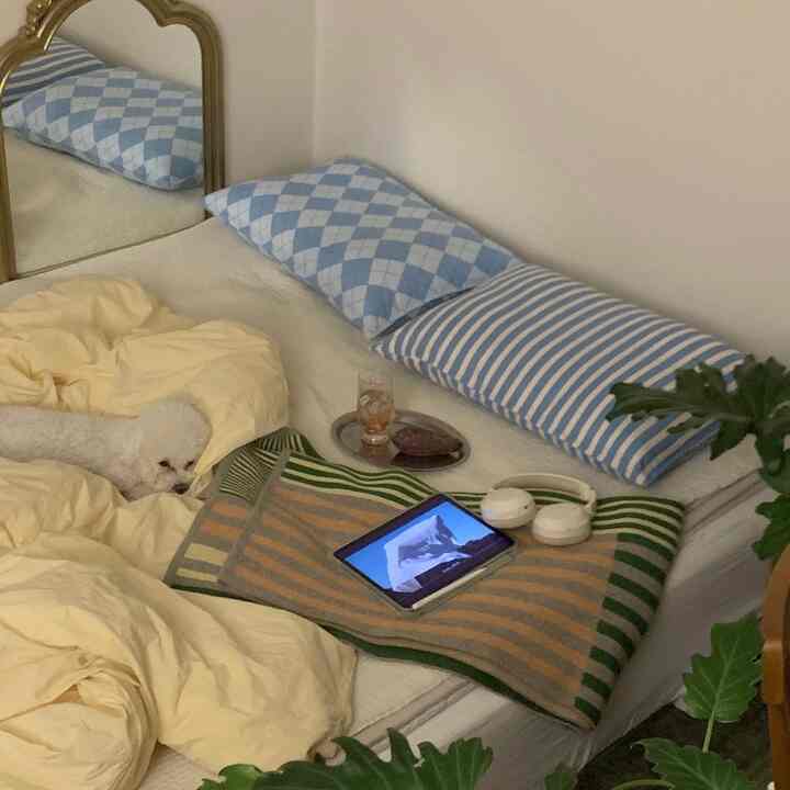 White and blue tone bedroom featuring a cozy bed with patterned blue pillows and a small pet dog resting