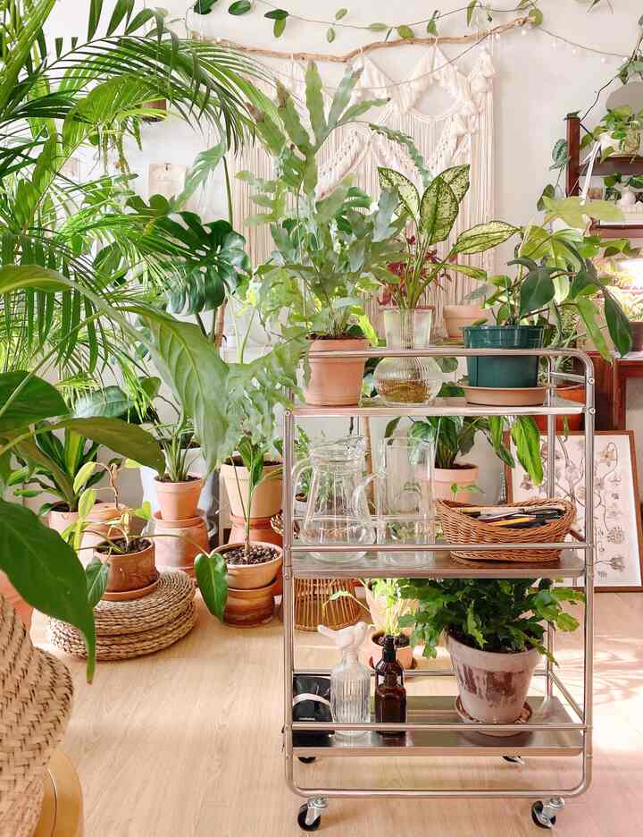 ベージュとウッドトーンの床が特徴のリビングに、ステンレス製の移動式トロリーと多種の緑の植物が配置されたナチュラルモダンなインテリア