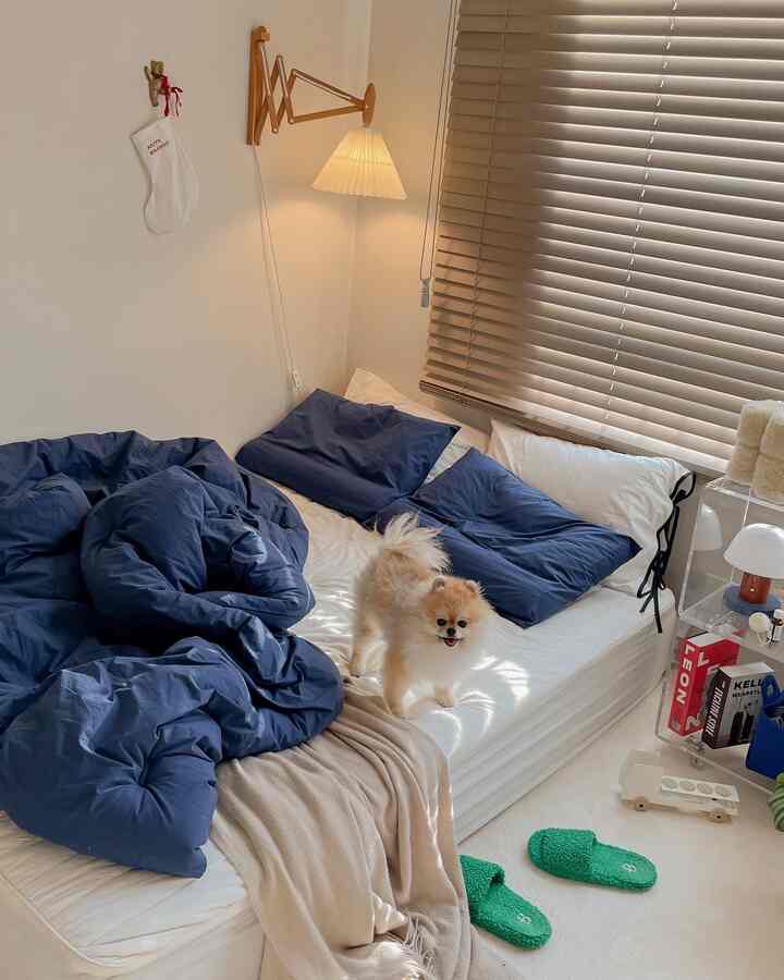 White and navy toned bedroom featuring a cozy bed with a small dog, creating a warm atmosphere