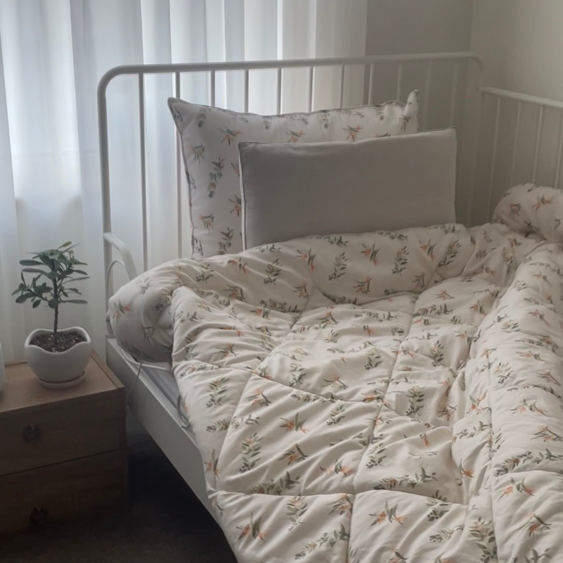 Bebe Flower Cozy Comforter & Pillow Set user photo