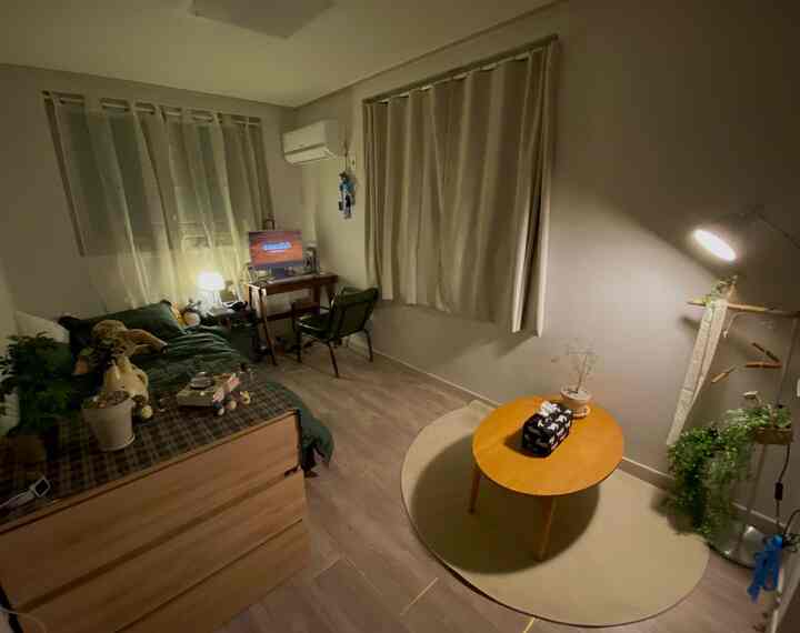 Natural wood tones and green colors blend in a compact studio bedroom with desk and bed creating a cozy atmosphere