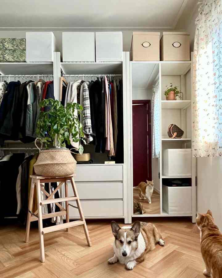 Walk-in closet with white and wood tones, sliding mirror door, neatly hung clothes, and a dog and cats on wooden floor creating a cozy atmosphere