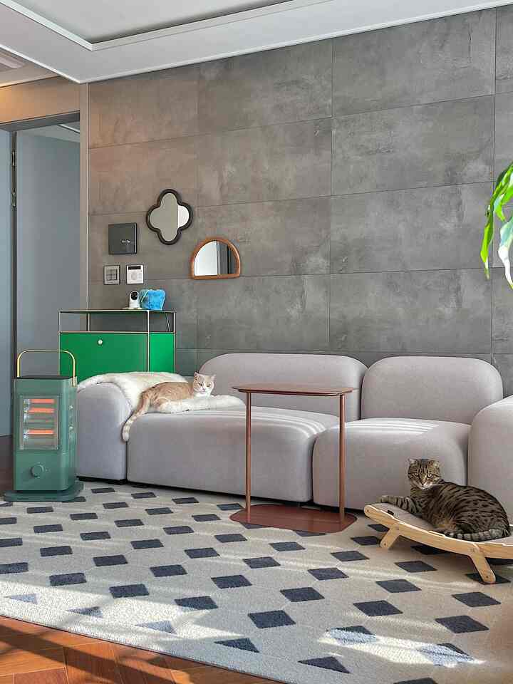 Modern gray-walled living room with beige sofa, patterned rug, two cats lounging and an electric heater creating a cozy atmosphere