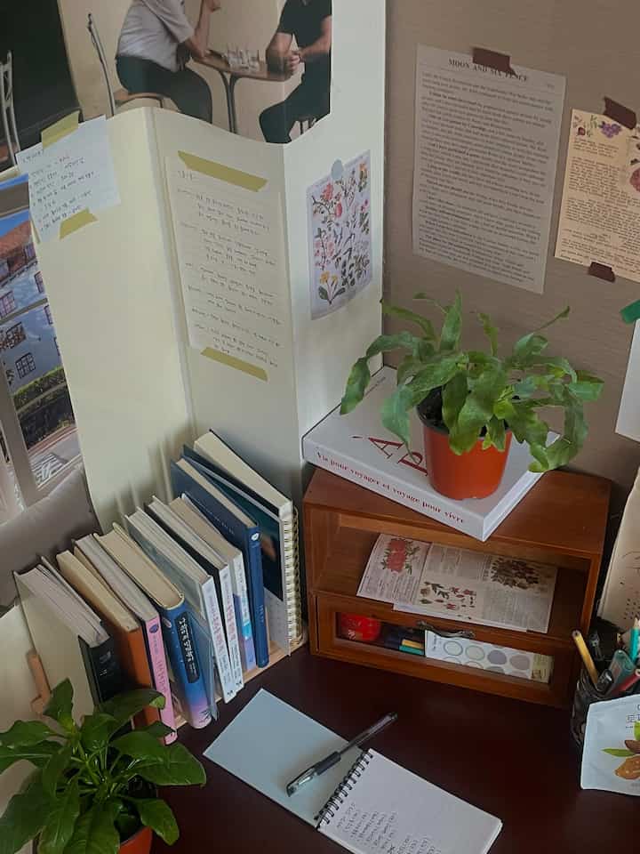 Natural color tone vintage-style desk space featuring books, posters, and plants creating a cozy study atmosphere
