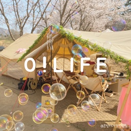 벚꽃 캠핑의 추억🌸
날씨가 이상하게 따뜻한 요즘이에요~
그래서인지 빨리 봄이 왔으면 싶네요!
봄이 오면 기다리던 벚꽃캠핑을 가야하거든요!☺️