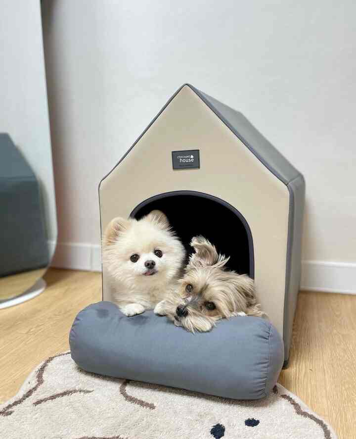 Beige and gray toned indoor space featuring two dogs resting comfortably inside a pet house with a bolster pillow in front