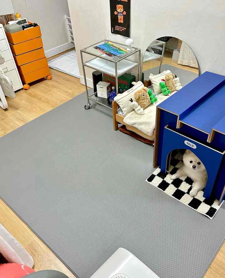 グレーのマットが敷かれたリビングに、青いペットハウスと木製ペットベッド、オレンジの収納棚と金属製トロリーが配置された雰囲気のあるペットスペース