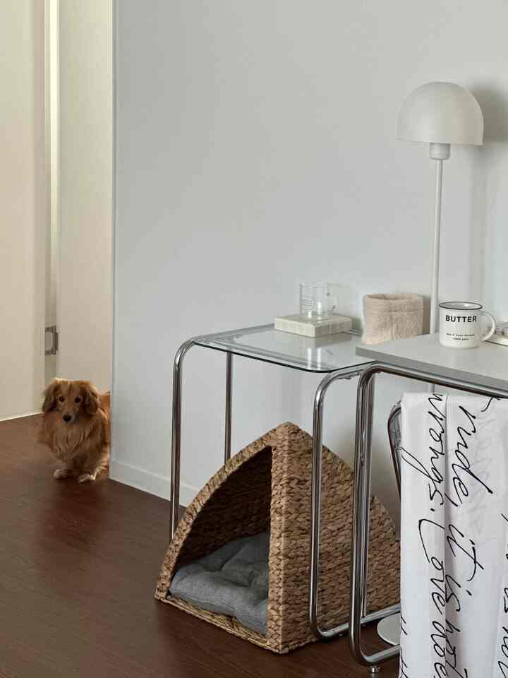 Minimal layout in a small room with white walls, brown flooring, a dog, and a pet house