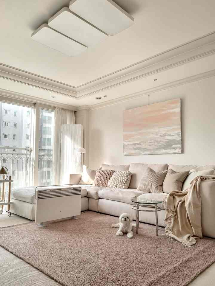 Ivory and beige toned living room featuring large sectional sofa, electric heater, and a cute dog in a cozy setting