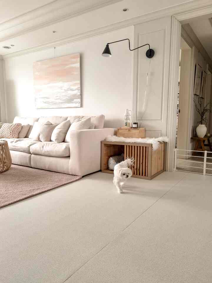 Bright natural-toned living room featuring cream sofa, wooden pet house, and ivory roll mat on the floor creating a cozy atmosphere