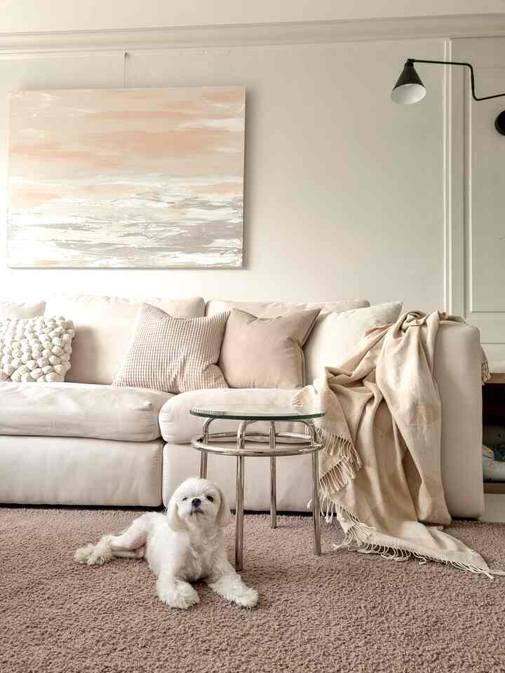 Warm living room in soft white and beige tones featuring a cozy sofa with cushions and a white dog lying in front