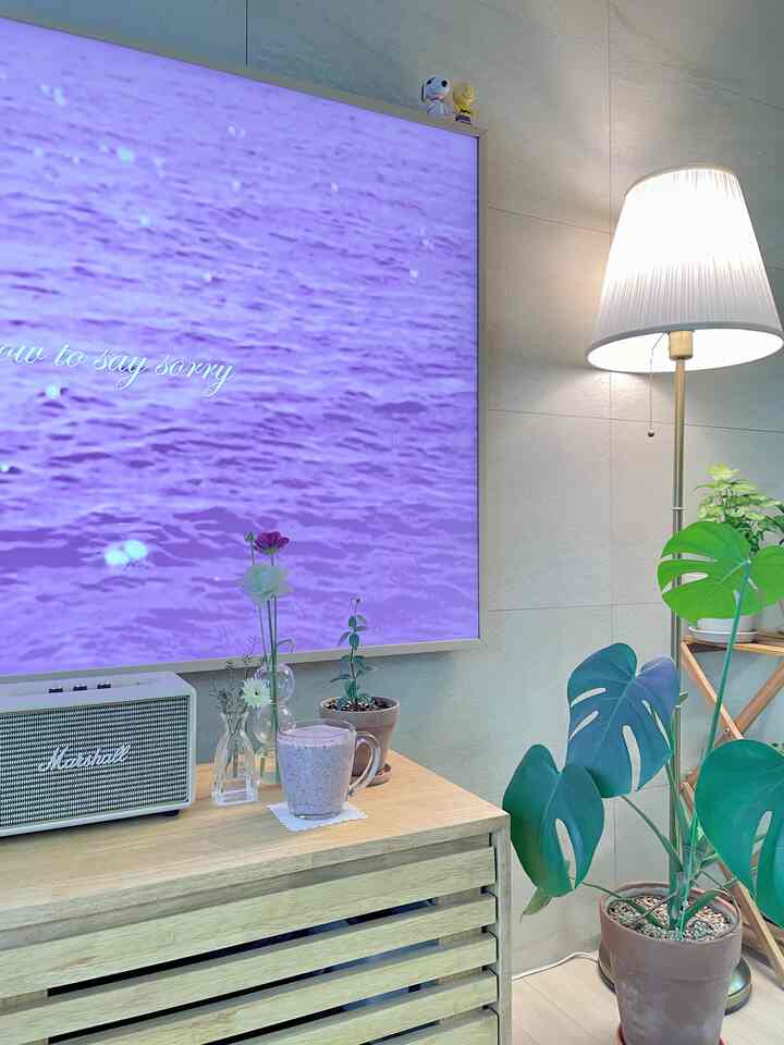 Recording the living room on a long weekend morning
Holding a glass of blueberry banana juice
A leisurely time to water the plants💜💚
