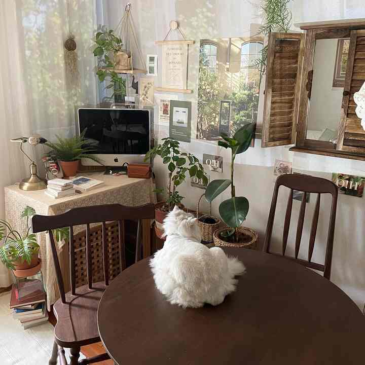 Natural dining room with white and wood tones, featuring a round wooden table with a white cat seated atop, surrounded by plants and a home office setup