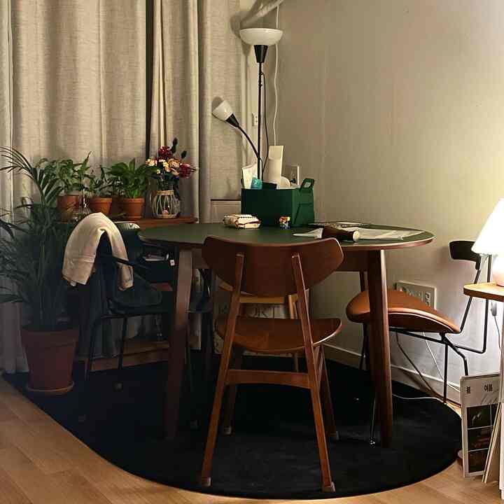 ナチュラルな色調のワンルームリビング、木製のダイニングテーブルと椅子、黒い円形ラグ、フロアランプと植物が配置された雰囲気のあるインテリア