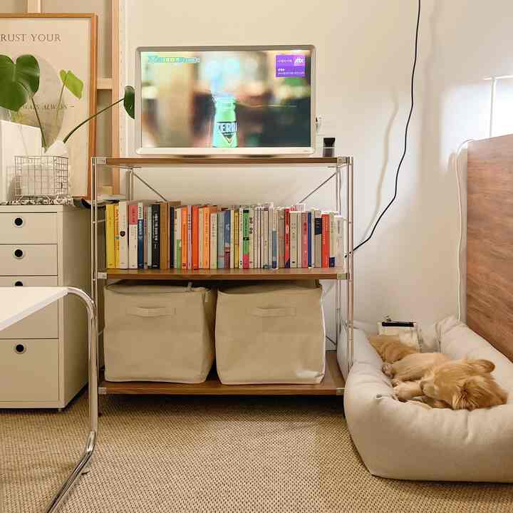 白い壁とブラウンの木製家具が調和した寝室兼リビング、ペットベッドでくつろぐ犬がいる印象的な空間