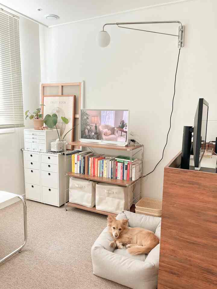白と茶色のトーンのリビング、本棚や棚、テレビ、そして犬のベッドが配置された雰囲気のある空間
