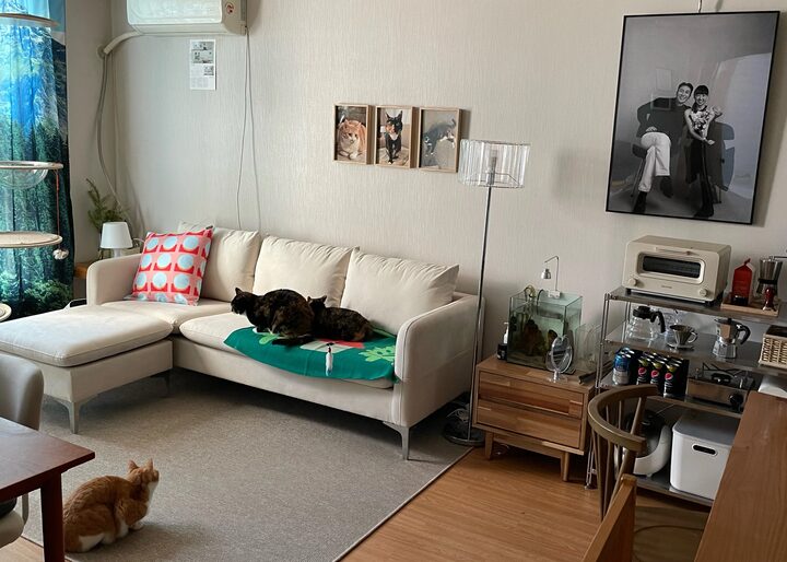 short form carousel card thumbnail