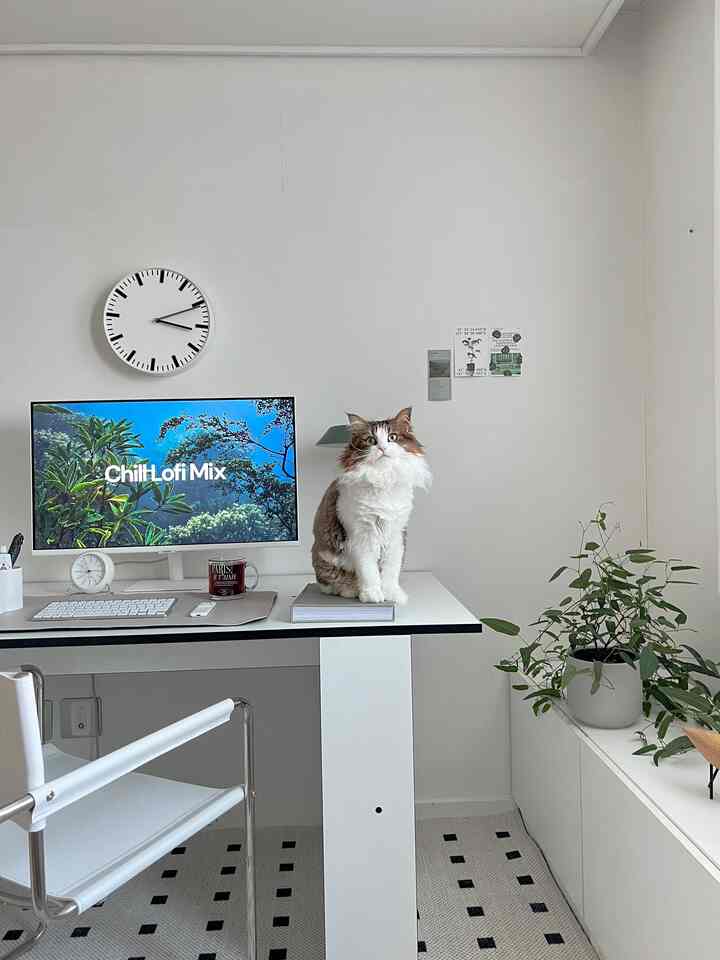 白を基調としたホームオフィス空間、中央の白いデスクに猫が座り、モニターと時計が配置された印象的なインテリア