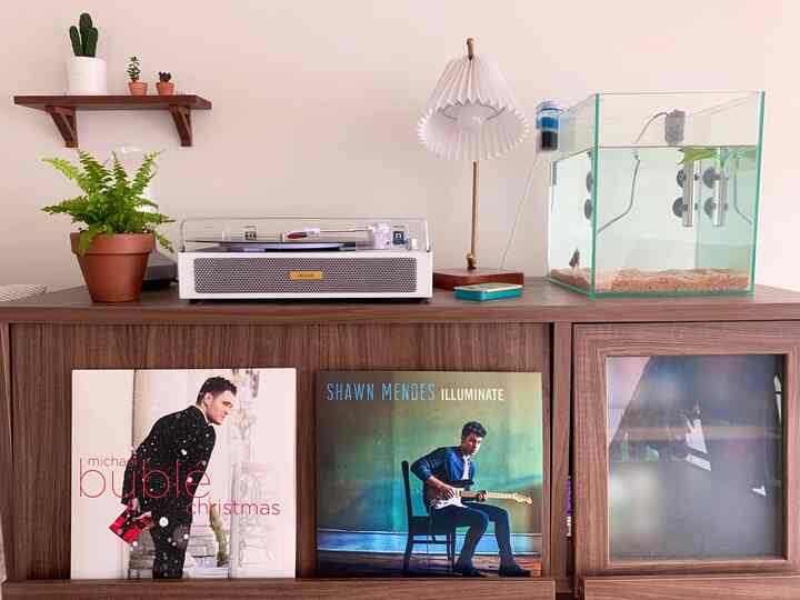 Cozy bedroom corner with white walls and wood tone cabinet, featuring fish tank, plants, retro LP player, and ambient lamp