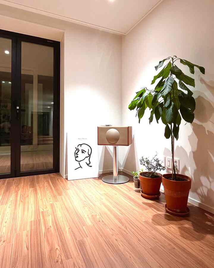 ナチュラルな木目調の床と白い壁が調和したリビング、モダンでミニマルな空間に大きな植物がアクセント