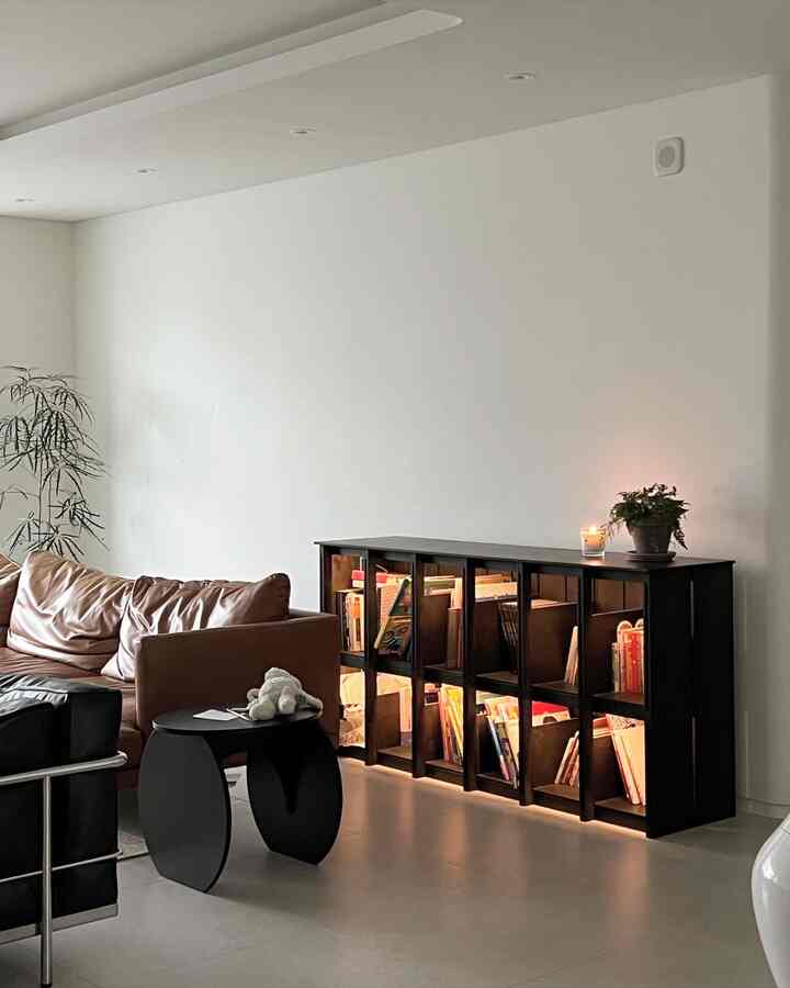 White and black toned living room featuring natural furniture and bookshelf, creating a cozy and stylish interior