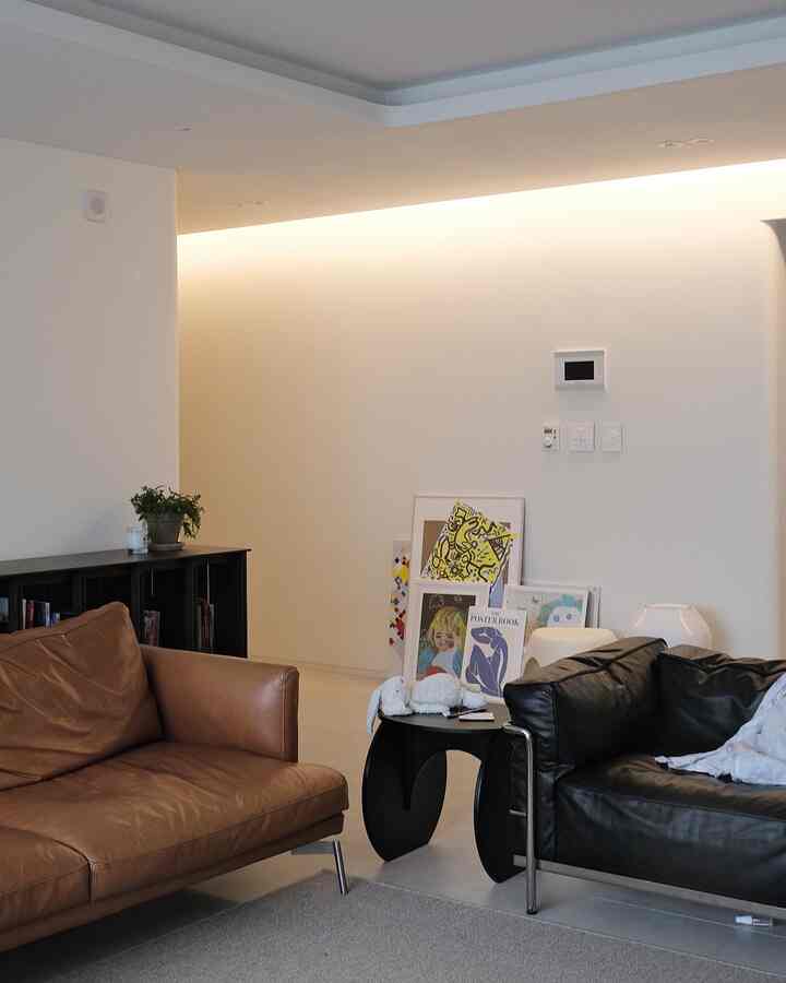 Modern living room with white walls and ceiling featuring brown and black leather sofas