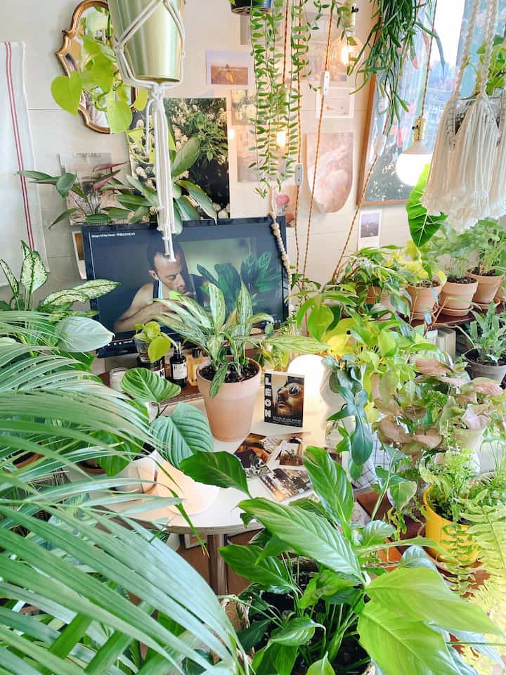 Bright and cozy living room featuring lush green plants and silver metal hanging pots