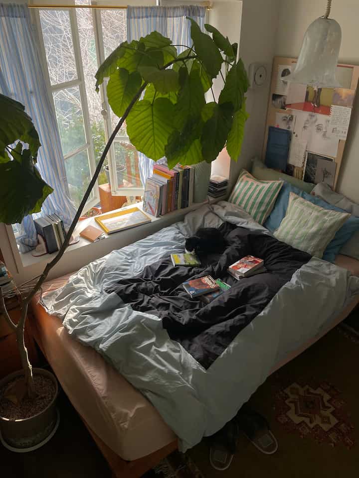 Natural color bedroom featuring a large bed, indoor plants, and striped curtains by a bright window, creating a cozy atmosphere