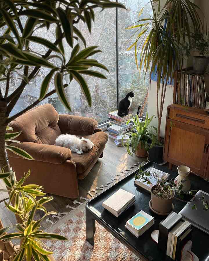 Warm brown and green toned living room featuring plants and pets creating a cozy atmosphere