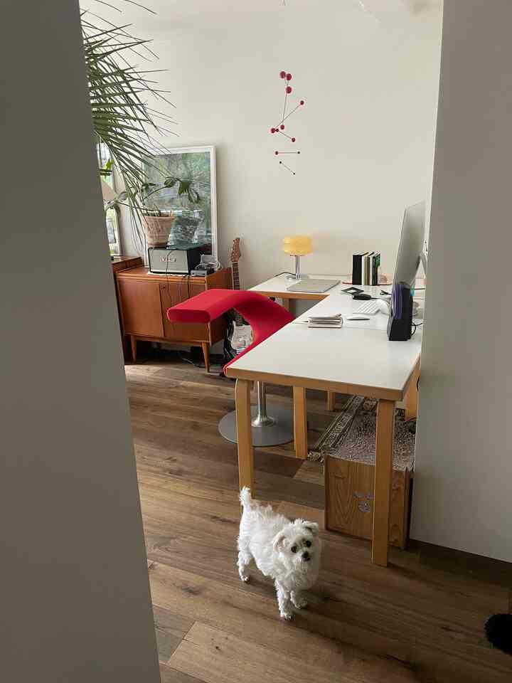 Modern home office with white and wood tones, featuring a red chair and a small dog in a clean workspace