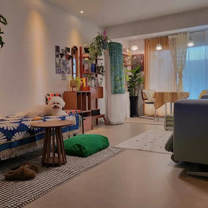 Living room with natural beige and yellow curtains, blue floral throw, featuring pet dog and plants creating cozy spring atmosphere