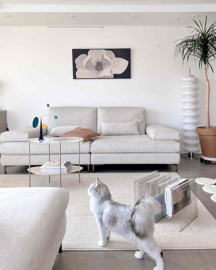 Modern living room in white and beige tones featuring a cat, rug, sofa, and floor lamp in a clean setting