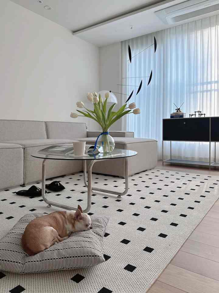 White and beige toned living room featuring a beige sofa, glass coffee table, and a dog resting comfortably on a patterned rug