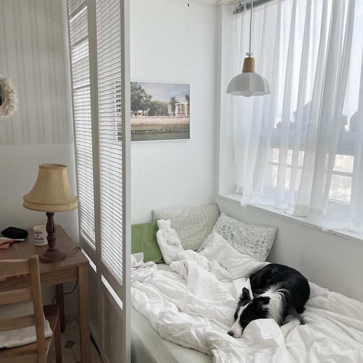 Tagged posts featuring Simple Classic Tile Rug 3